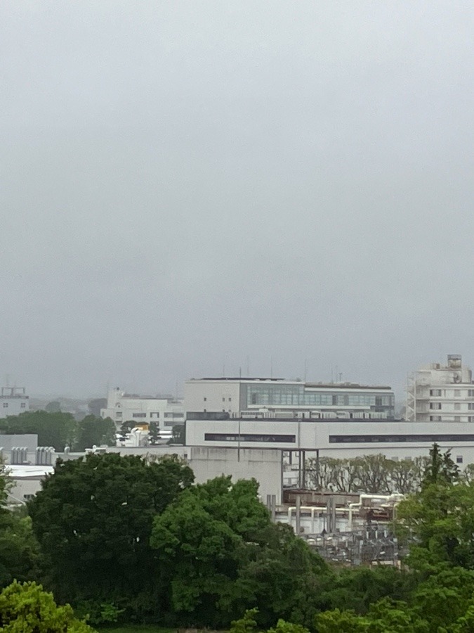 今朝の富士山