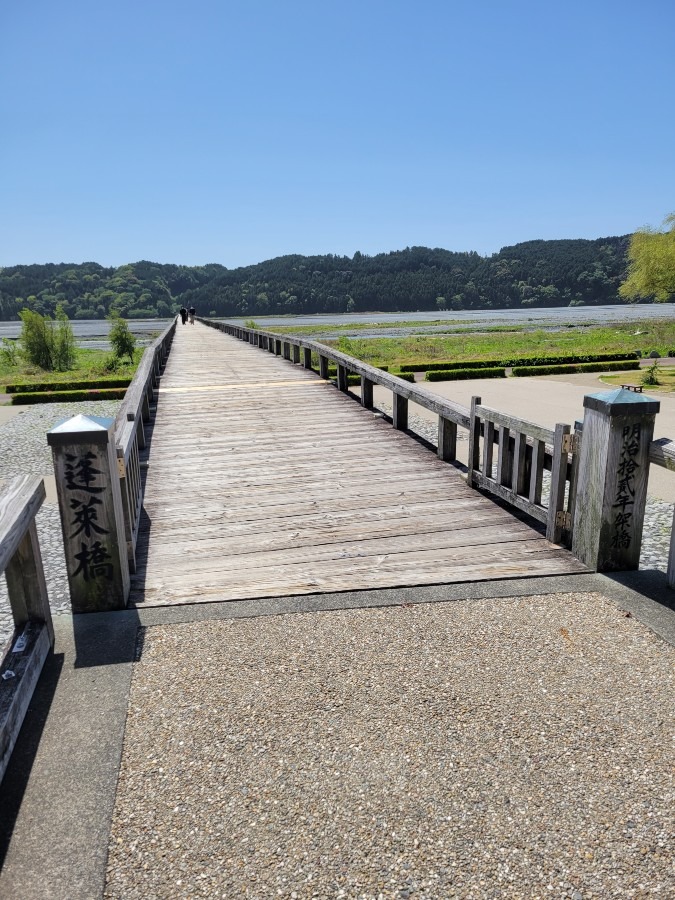 静岡県島田市の大井川に架かる蓬莱橋を見て来ました