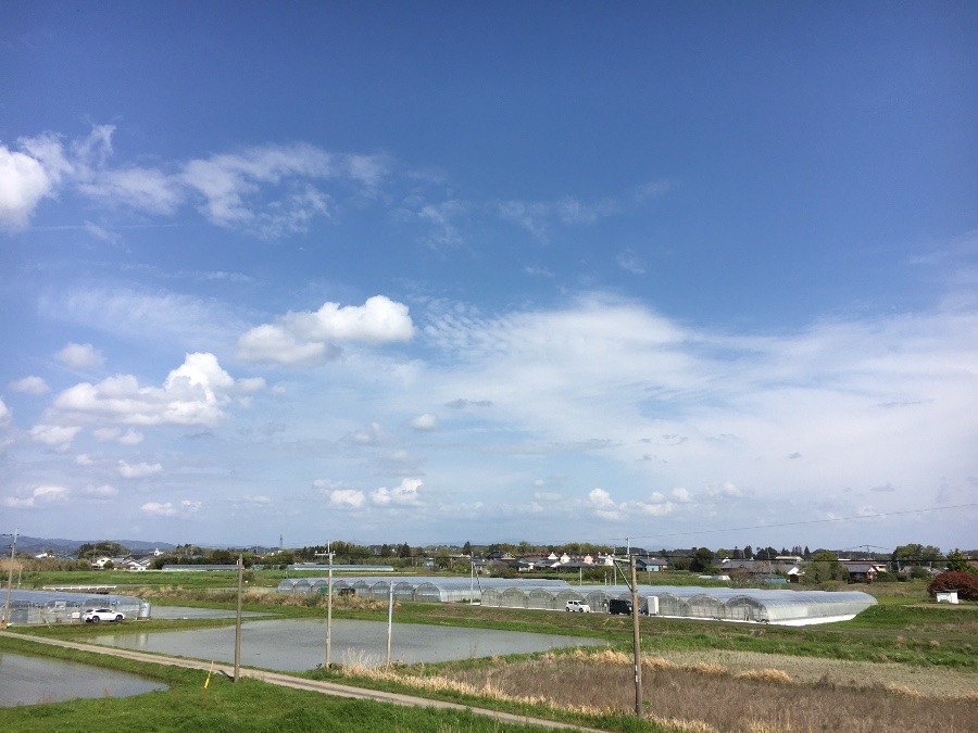 ⭕️空部→ 今日の空（≧∇≦）‼️515.