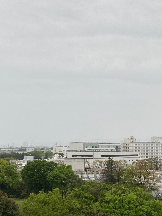 今朝の富士山