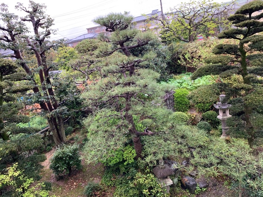 外は雨