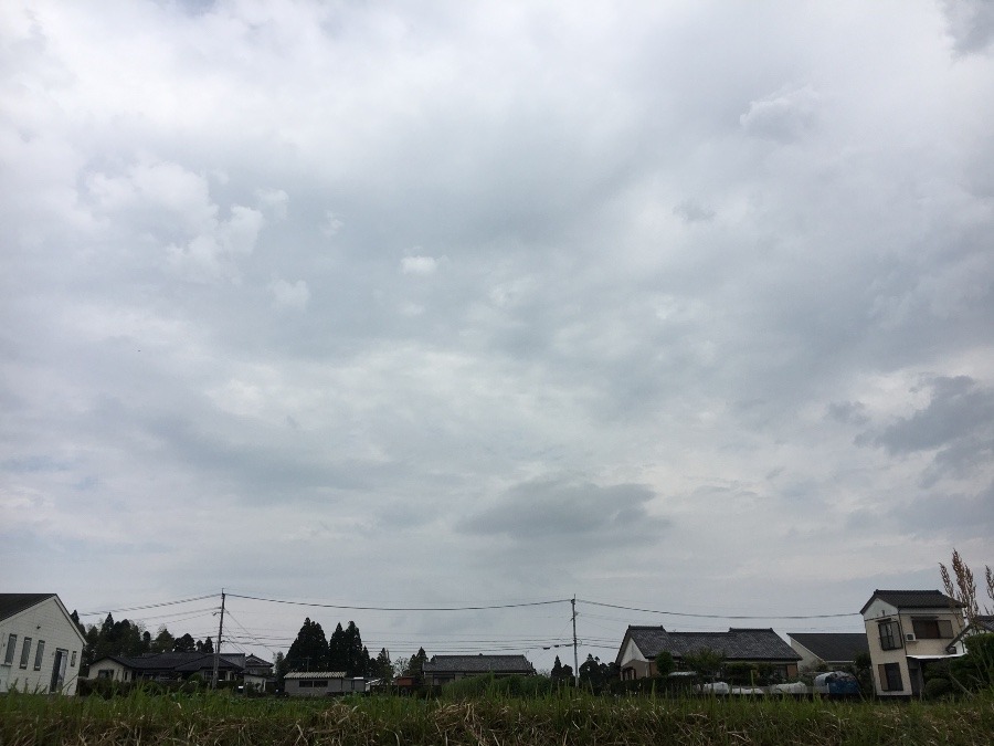 ⭕️空部→ 今日の空（≧∇≦）‼️533.