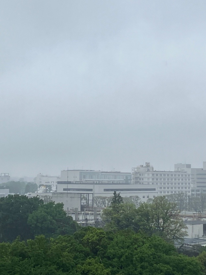 今朝の富士山