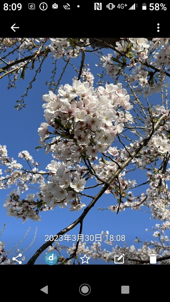 今年もありがとう🌸