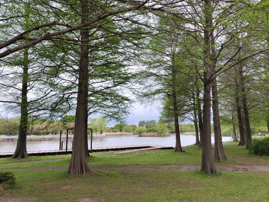 足立区舎人公園⑥