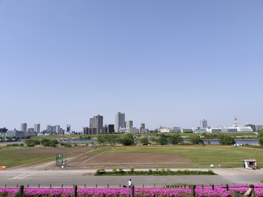 北区荒川土手③