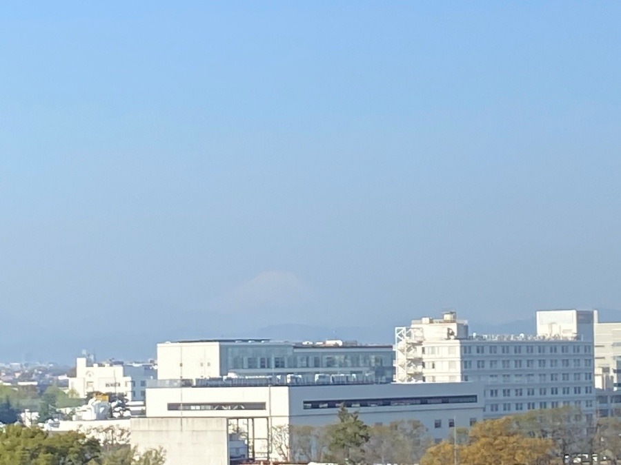 今朝の富士山