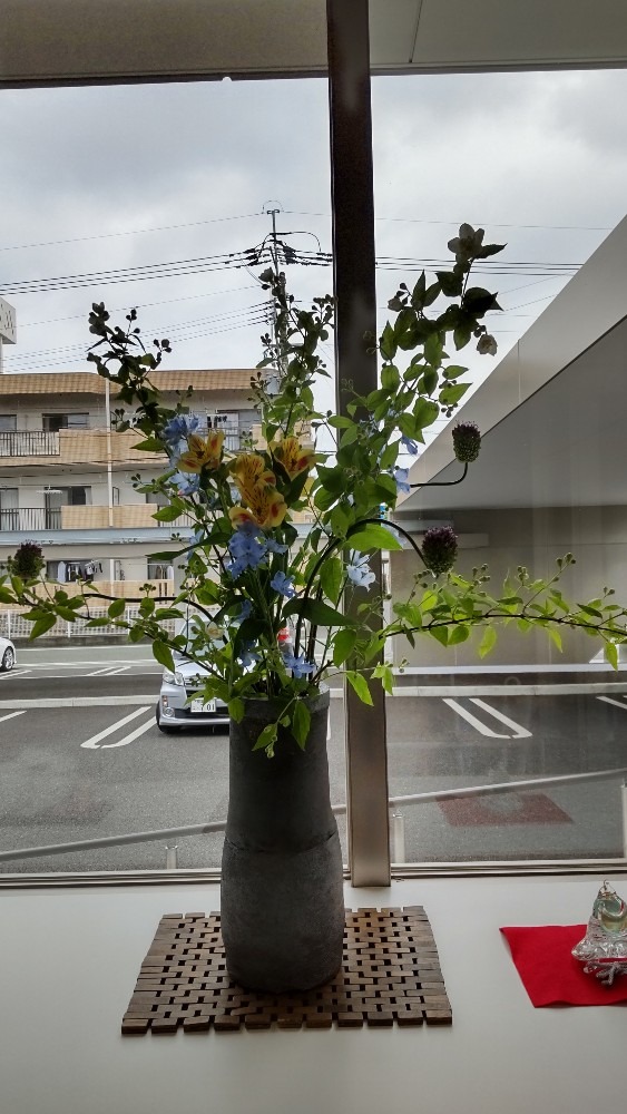 今週のクリニックの花