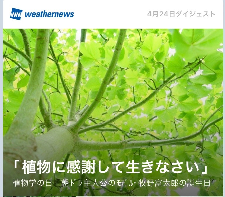 4/24「植物学の日」