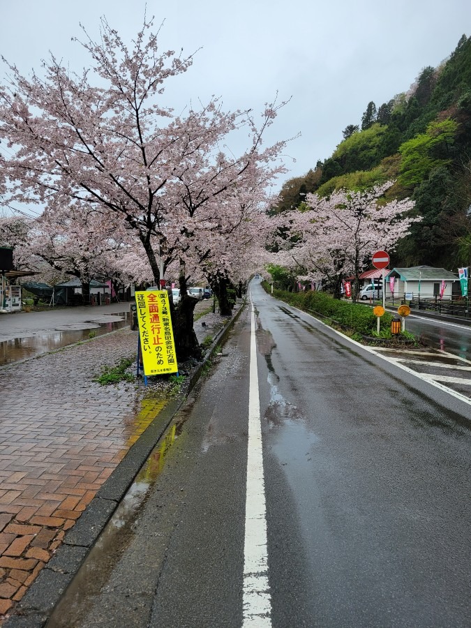 国道473号線4月20日10時より通行再開されます