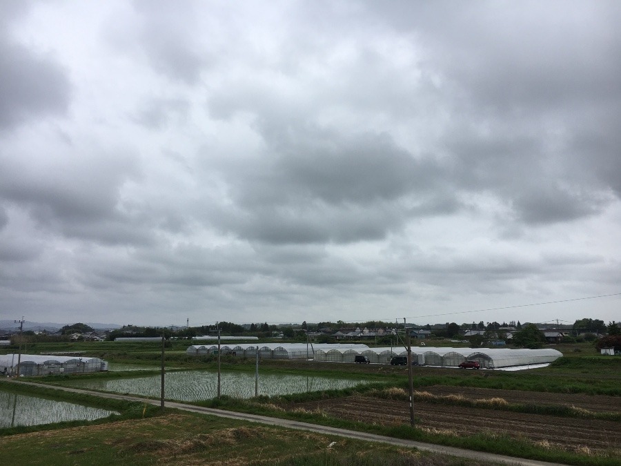 ⭕️空部→ 今日の空（≧∇≦）‼️552.