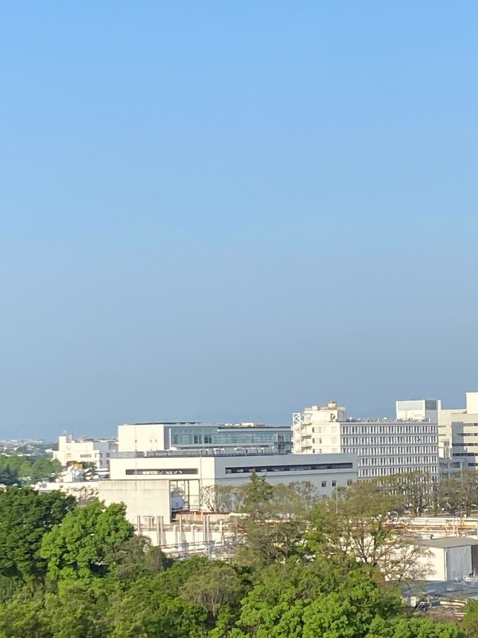 今朝の富士山