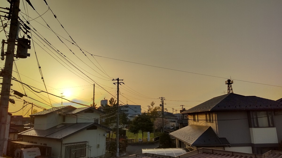 今日も、温かな５月の気温？