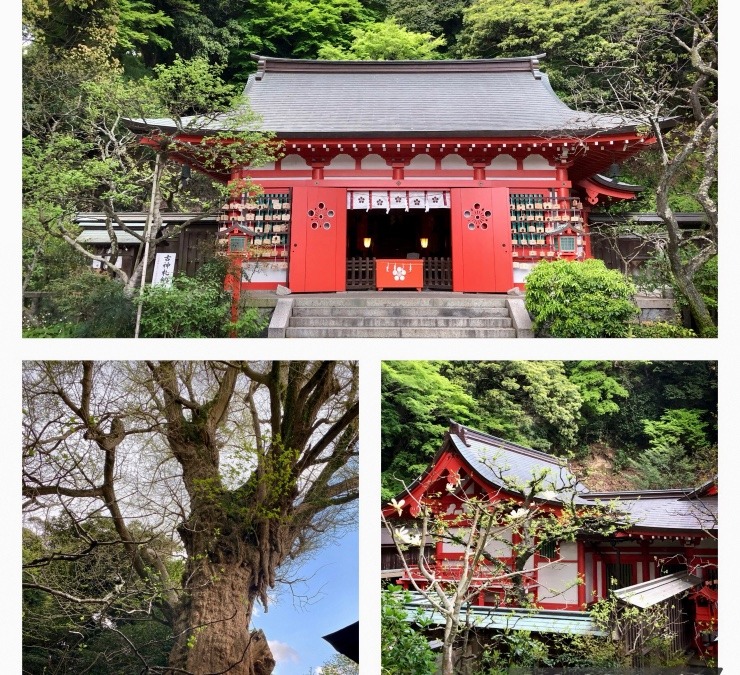 鎌倉市二階堂の荏柄天神社にご挨拶❣️