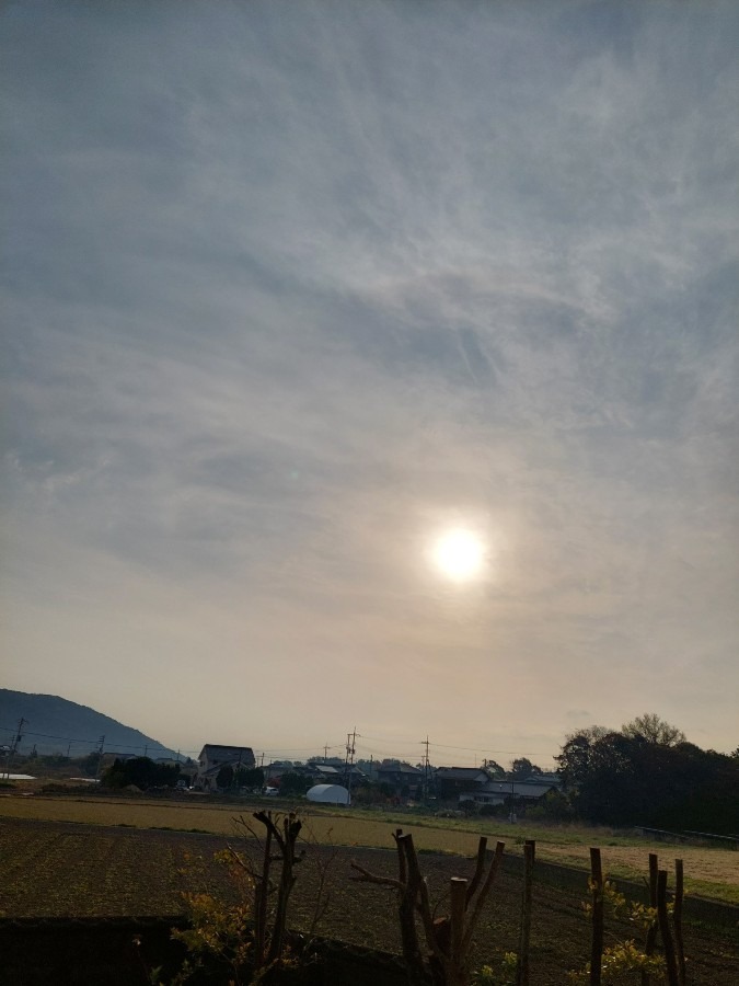 4/11朝空