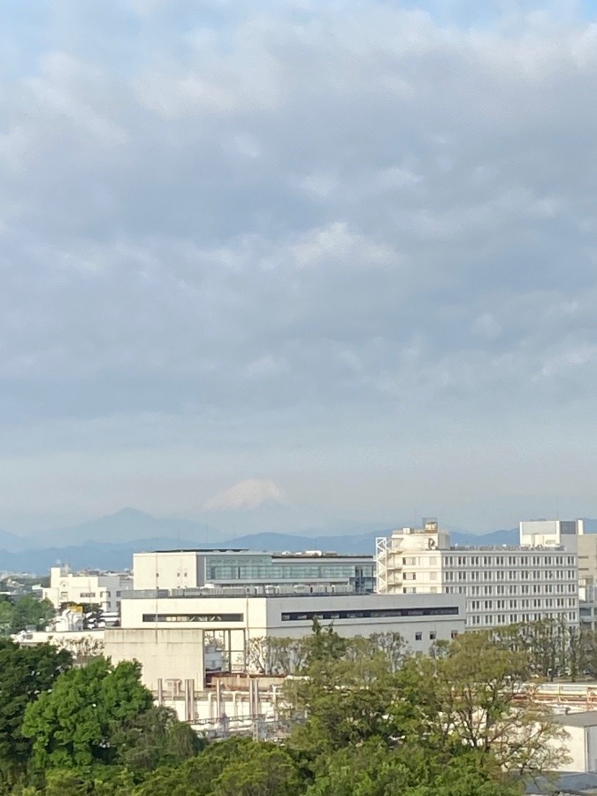 今朝の富士山