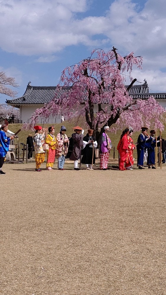 時代の衣装を纏った学生達🌸