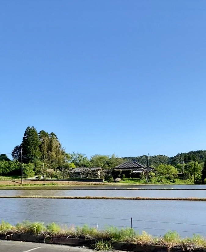 《田植え直前》