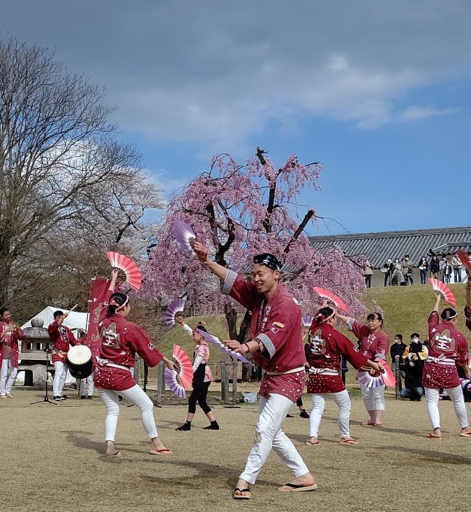 続きまして雀踊り🌸🌸🌸