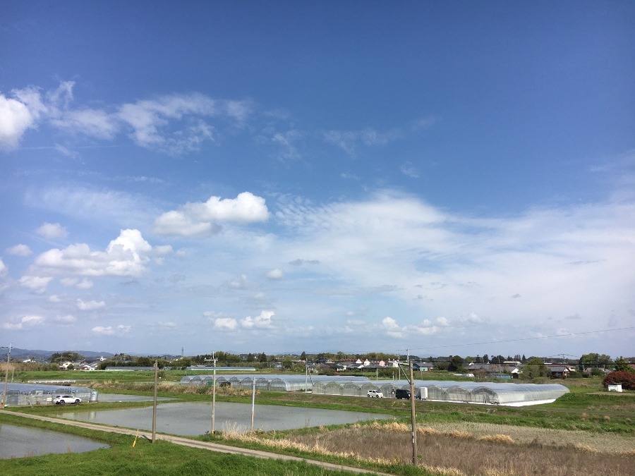 ⭕️空部→ 今日の空（≧∇≦）‼️523.