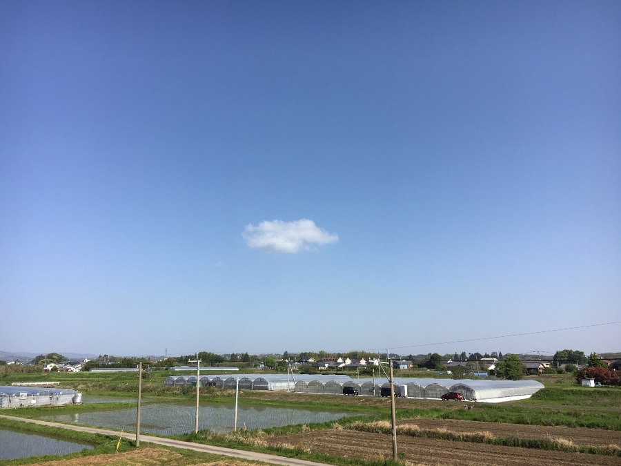 ⭕️空部→ 今日の空（≧∇≦）‼️544.