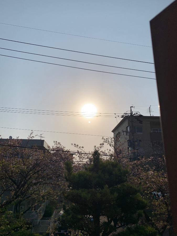朝陽