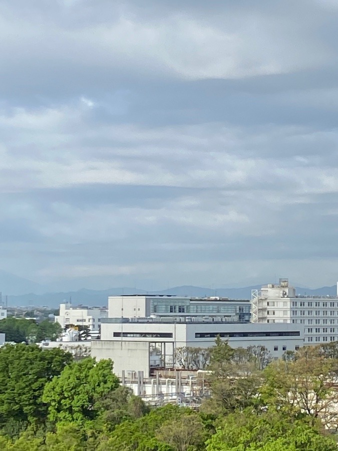 今朝の富士山