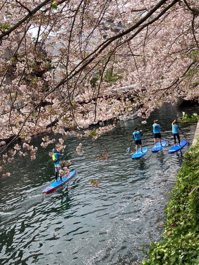 大岡川③