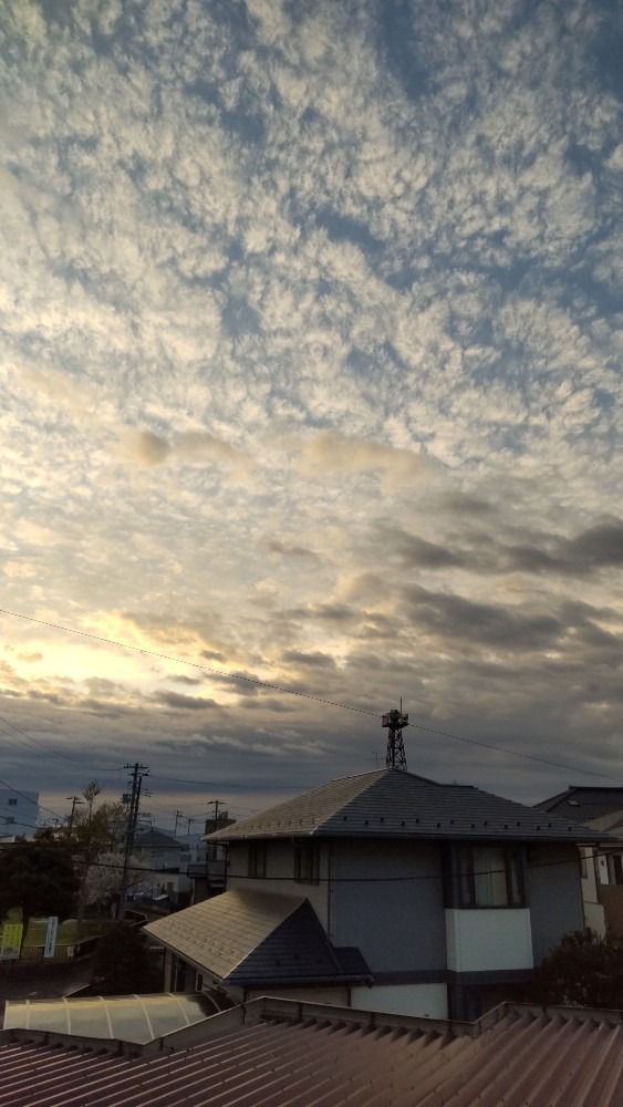 雲の厚い空、チョッピリ、朝日の威力？