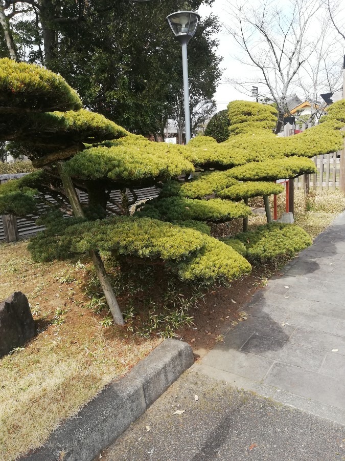 島津亭です!