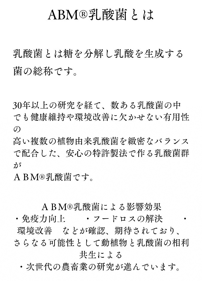 開発の経緯