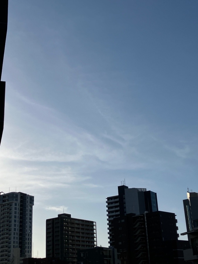 4/29 朝空（昭和の日）