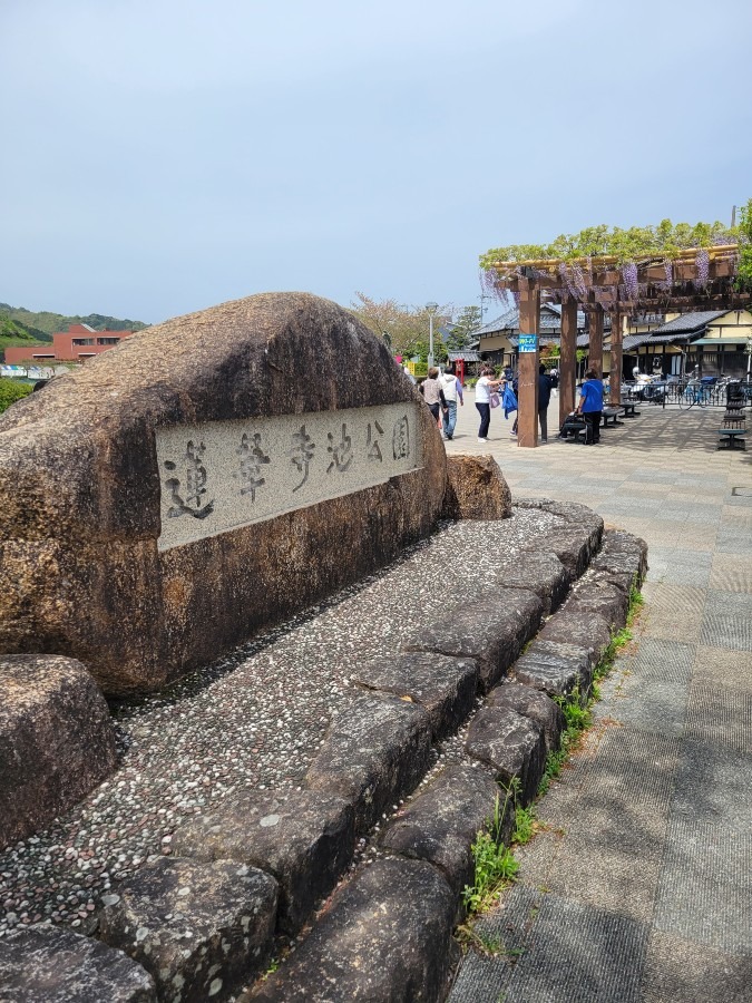 静岡県藤枝市にある蓮華寺池公園に行って来ました