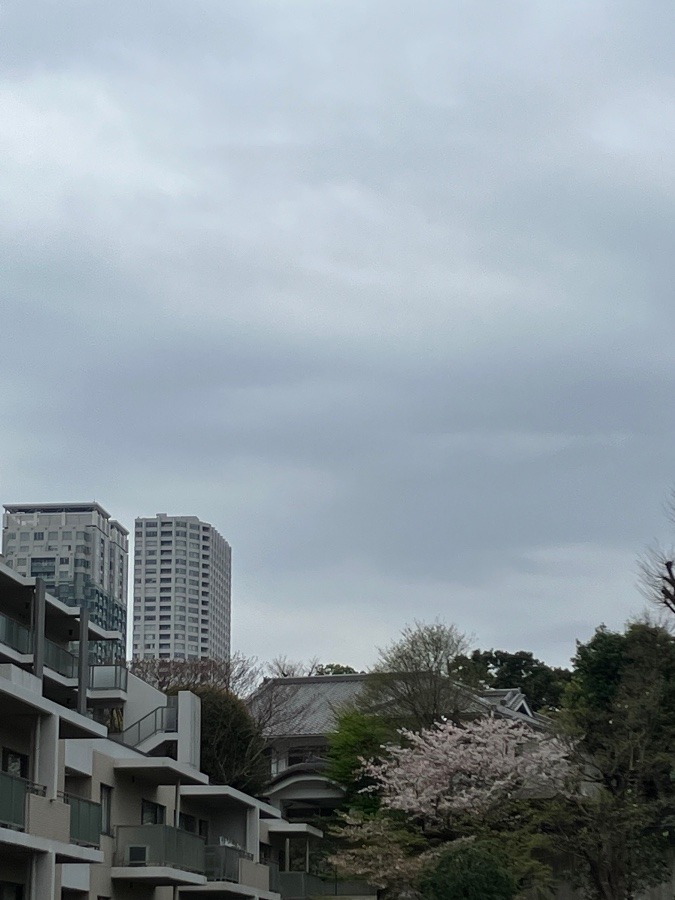 4/2 朝空