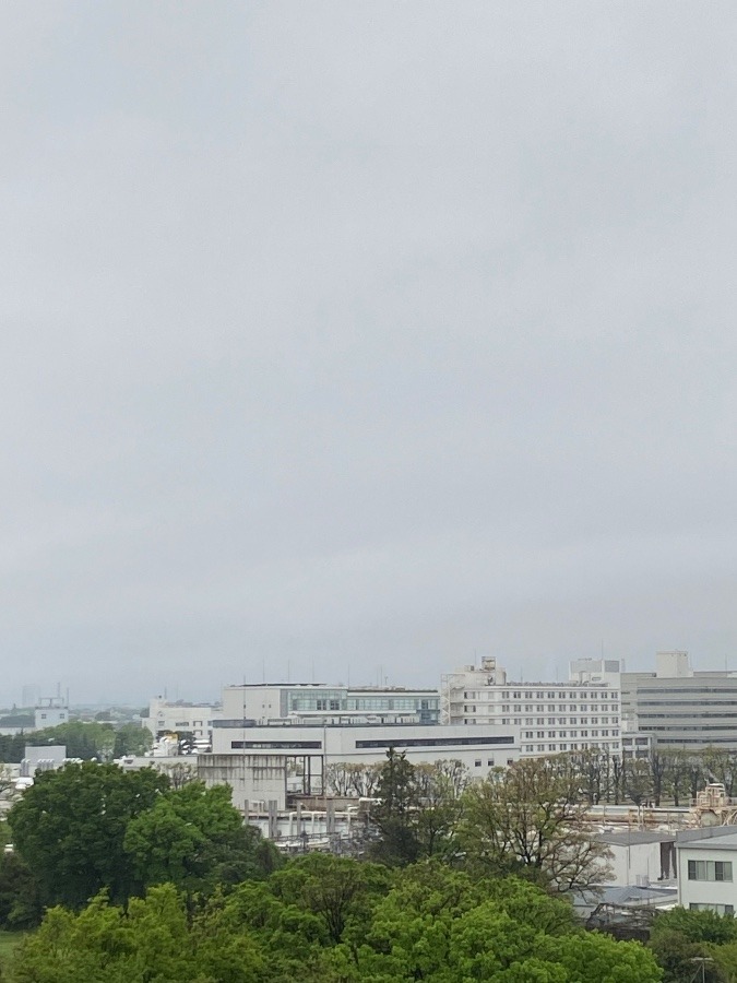 今朝の富士山