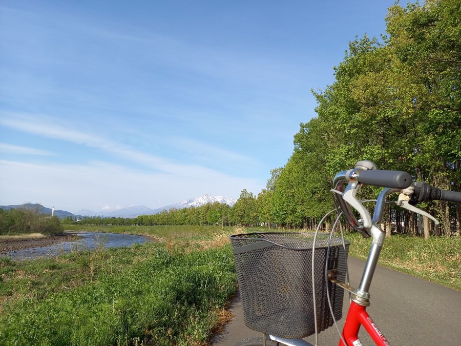 自転車に乗って