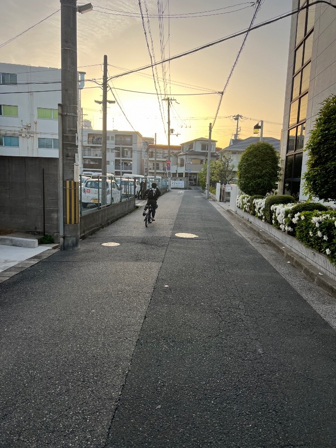 いつもの道😍🌤