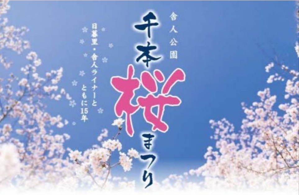 ４年ぶりの桜まつり