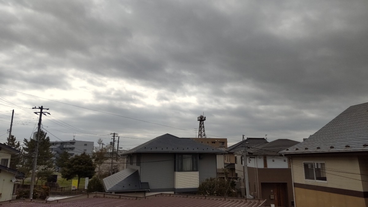 風強く、雲が居座ってる今朝です。