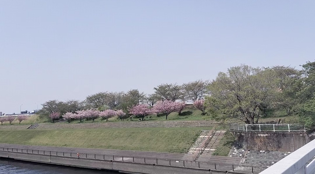 北区荒川土手②