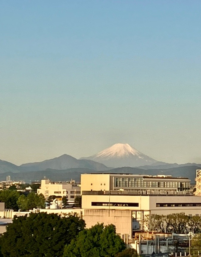 今朝の富士山