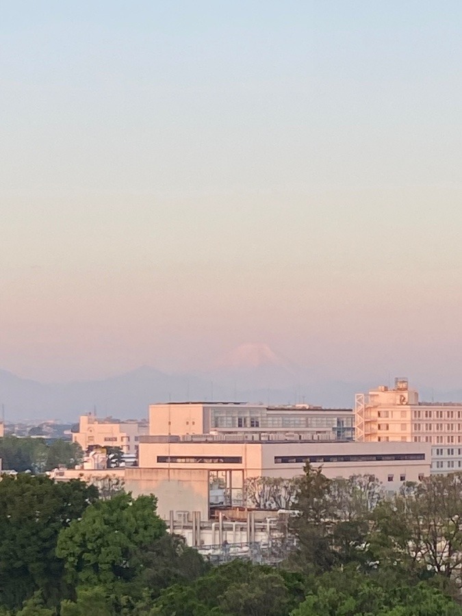 今朝の富士山