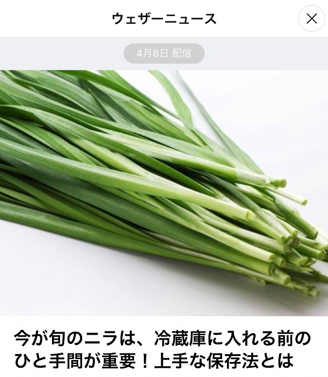 ニラは繊細な野菜なんですって‼︎