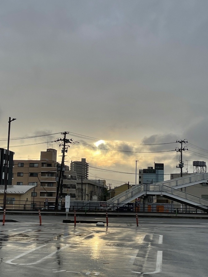 一日中雨だったのに