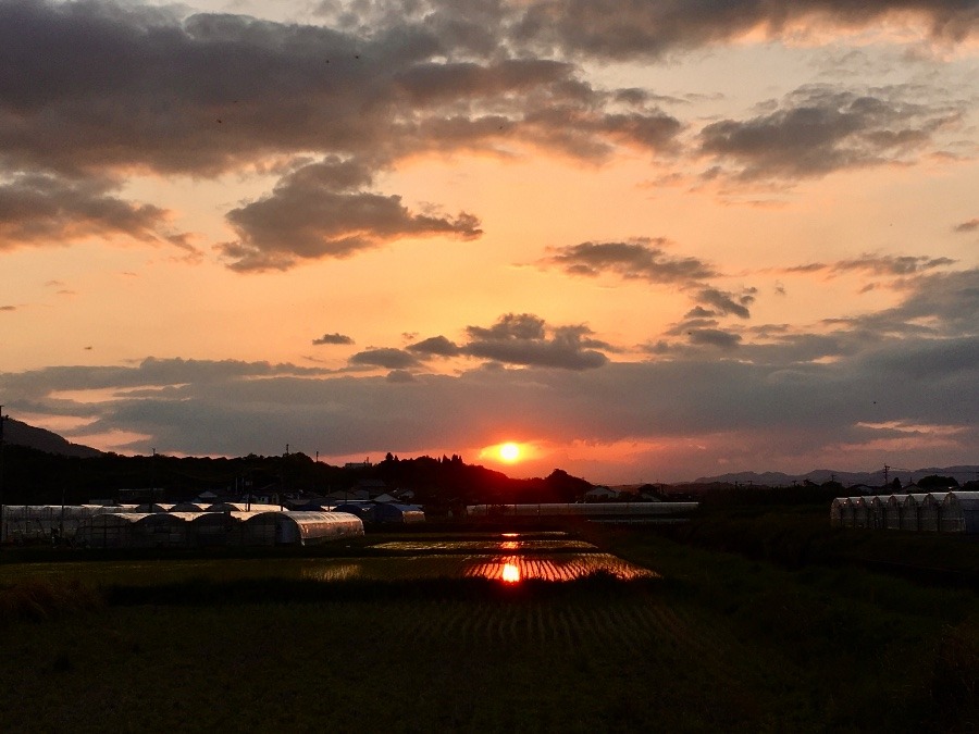 ⭕️ 夕焼け、(^O^)