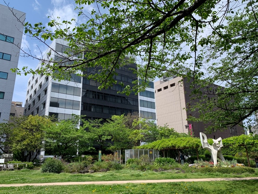 ☆日曜日　銀座の公園☆