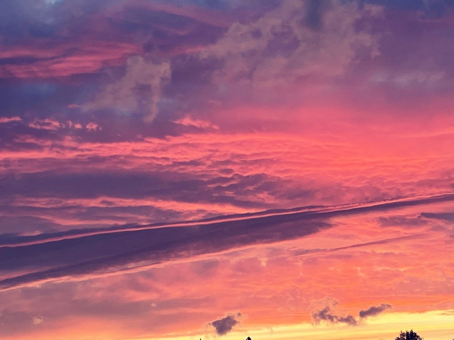こちらも今日の夕焼け^_^