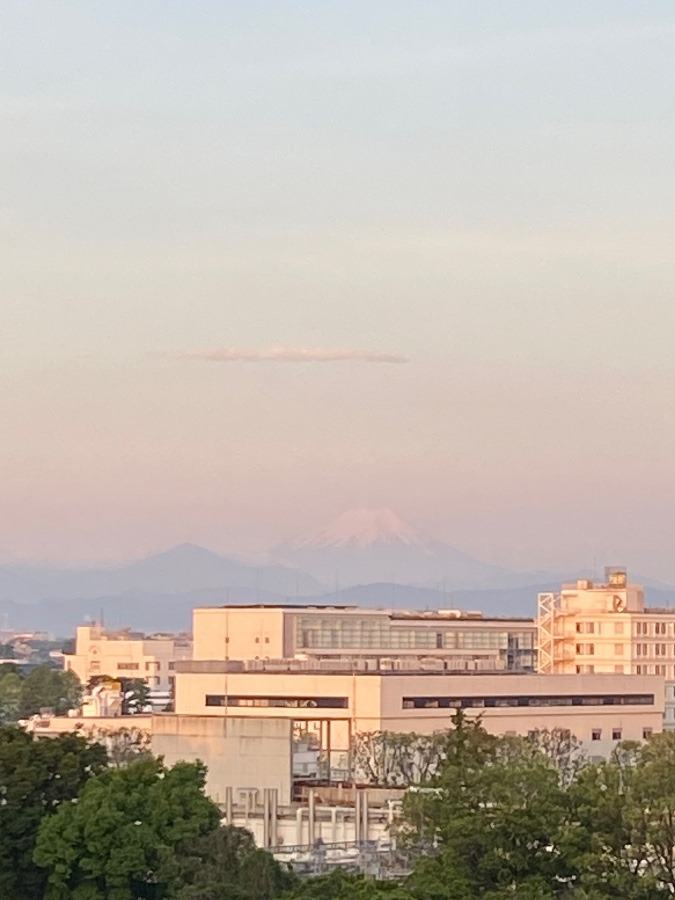 今朝の富士山