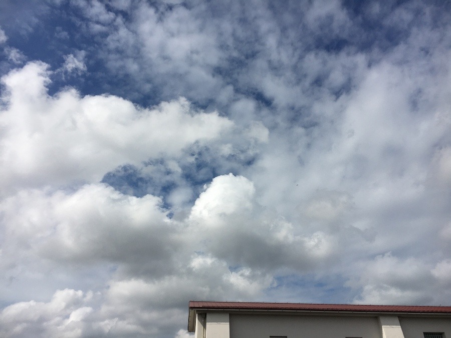 ⭕️空部→ 今日の空（≧∇≦）‼️508.