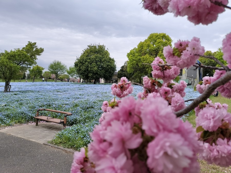 足立区舎人公園⑤